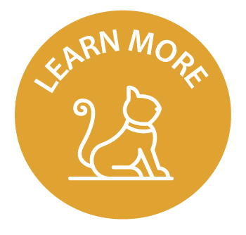 Learn-more-icon_gold.png